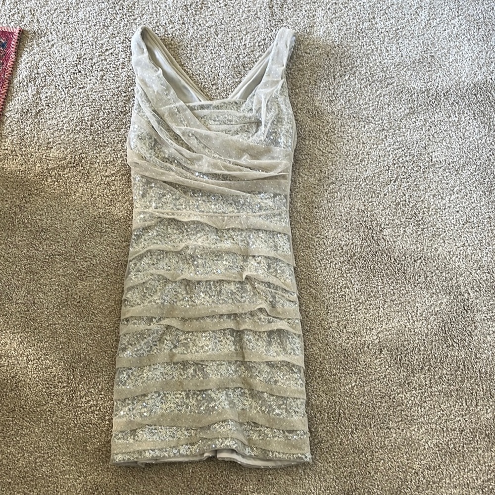 Express Silver Sequin dress with nude ruched overlay